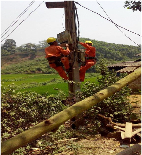 Điện lực Đồng Hỷ đẩy mạnh phong trào hoạt động cho Đoàn viên thanh niên