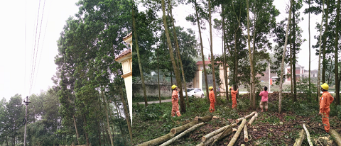 Phối hợp với người dân xã Phúc Trìu, xã Tân Cương trong công tác bảo vệ hành lang lưới điện trong mùa mưa bão