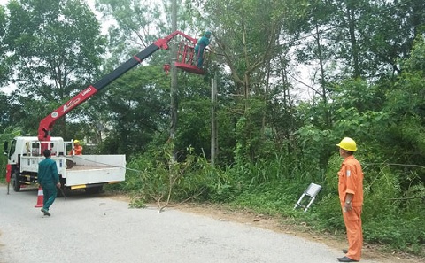 Điện lực TP Sông Công: Giải tỏa hành lang an toàn lưới điện