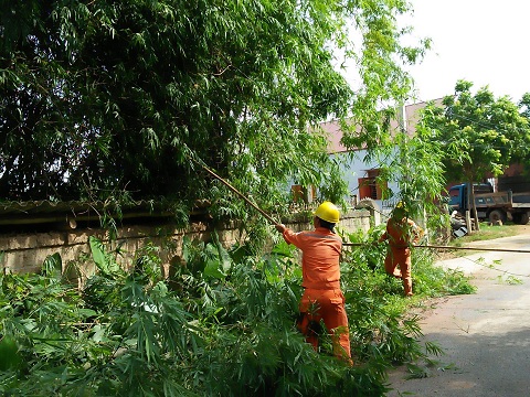 Đoàn thanh niên Điện lực Phú Bình xung kích trong công tác giảm tổn thất điện năng