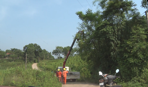 Điện lực TP Sông Công: Giải tỏa hành lang an toàn lưới điện