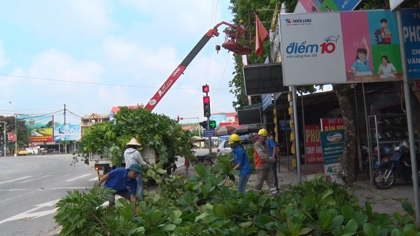 Chi đoàn Điện lực Phú Bình phát quang hành lang, thực hiện 5S lưới điện trên địa bàn