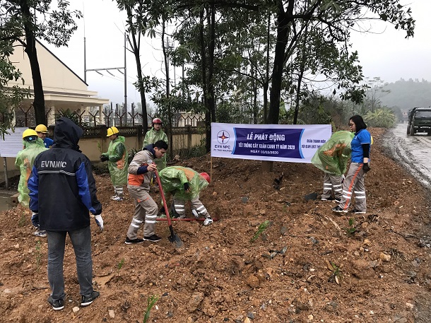 Đoàn thanh niên đội Quản lý vận hành lưới điện cao thế Thái Nguyên hưởng ứng Tết trồng cây