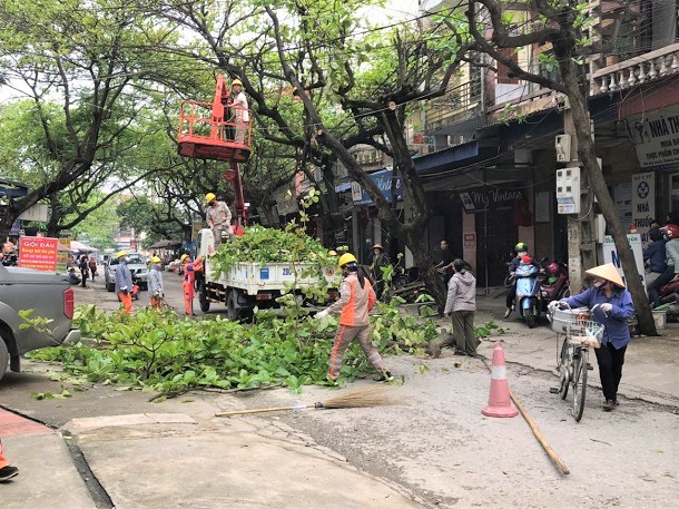 Công tác phối hợp thực hiện xử lý cây đô thị nằm trong hành lang lưới điện khu vực Thành phố Thái Nguyên