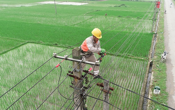 Chi đoàn Điện lực Đại Từ hưởng ứng chương trình hành động nhân tháng thanh niên năm 2020