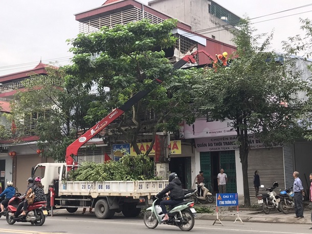 Đảm bảo hành lang an toàn lưới điện cao áp