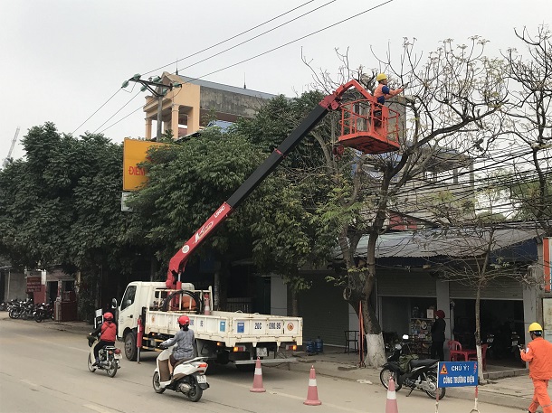 Điện lực TP Thái Nguyên phát quang hành lang lưới điện