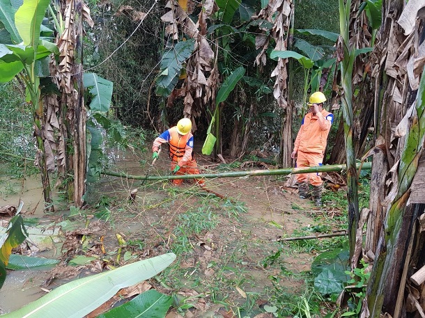 PC Thái Nguyên chủ động trong phòng chống thiên tai, đảm bảo cấp điện an toàn hiệu quả.