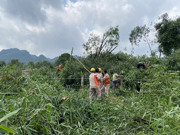 Điện lực Phú Lương 