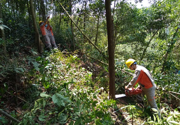 Điện lực Phú Lương: Chú trọng đầu tư, cải tạo hệ thống lưới điện