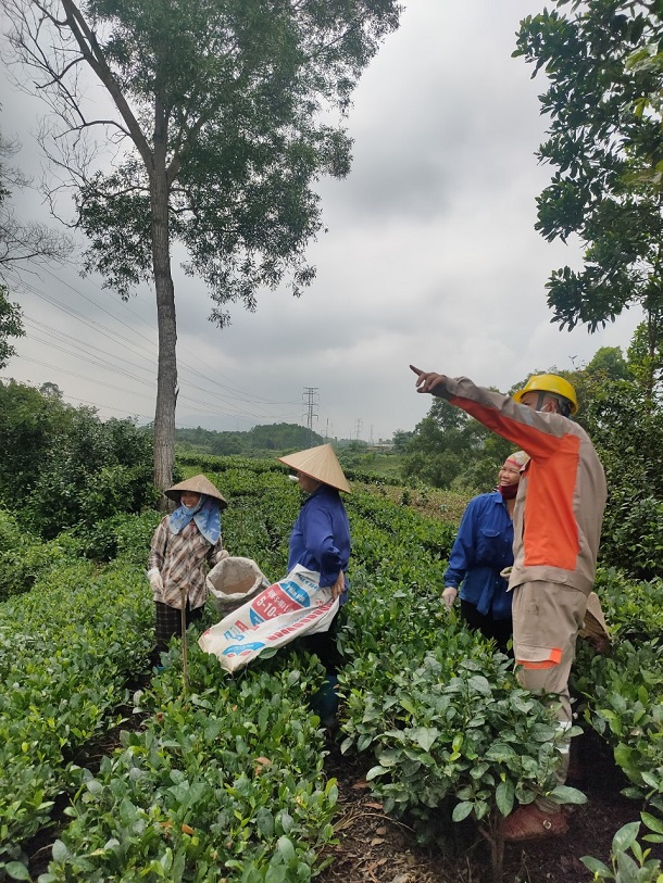 Đội QLVH lưới điện cao thế Thái Nguyên: Tuyên truyền bảo vệ hành lang lưới điện cao áp và phòng tránh tai nạn điện trong nhân dân