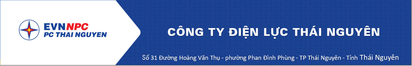 Thông cáo báo chí kết quả sản xuất kinh doanh năm 2021 Công ty Điện lực Thái Nguyên