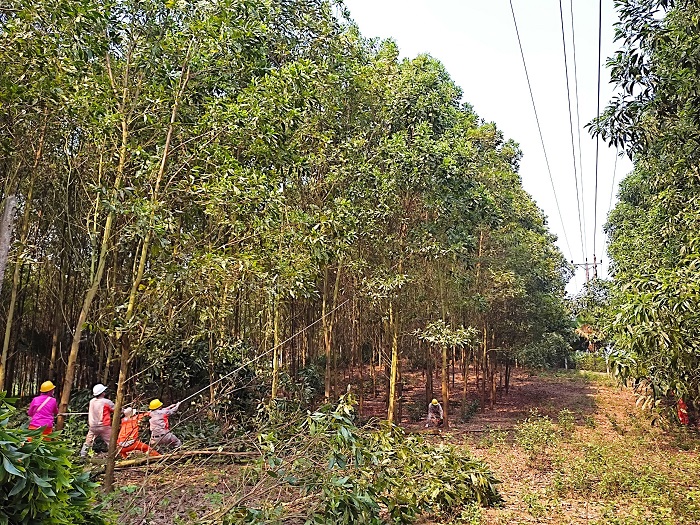 Điện lực Phú Lương: Nâng cao công tác tuyên truyền bảo vệ hành lang an toàn lưới điện cao áp trước mùa mưa bão