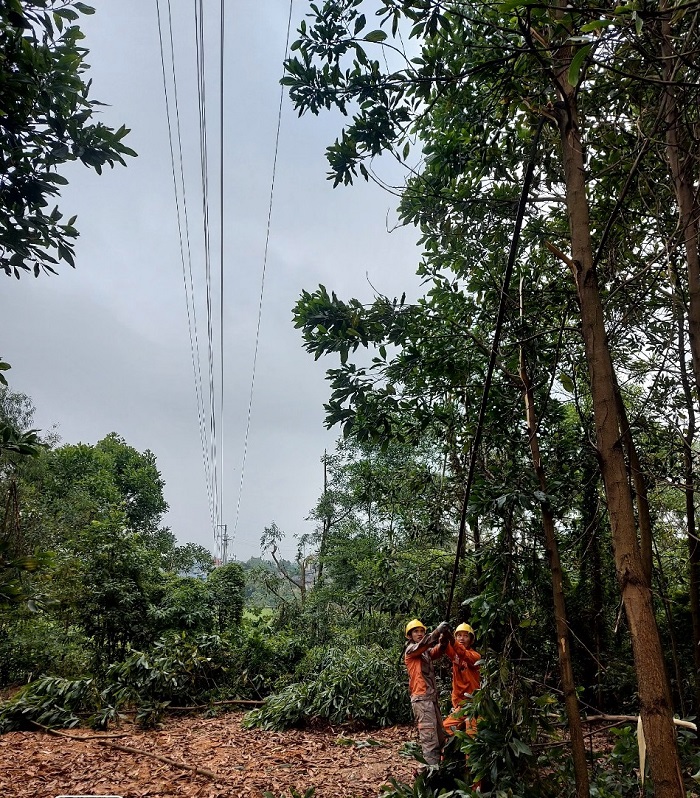 Điện lực Phú Bình đảm bảo cung cấp điện mùa mưa bão năm 2022