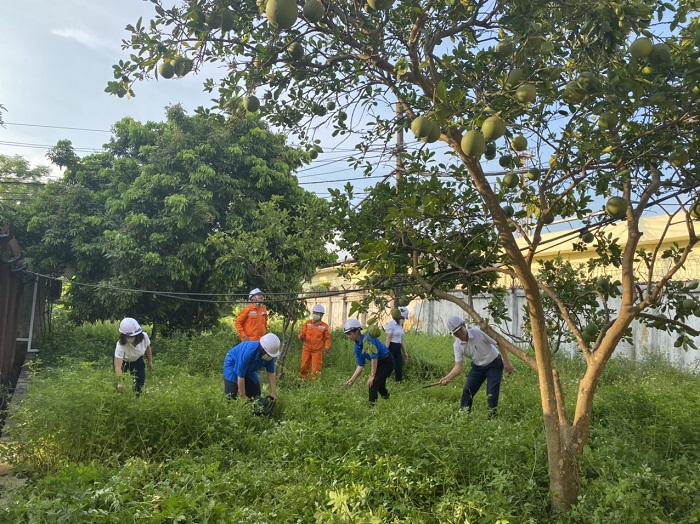 Điện lực thành phố Sông Công hưởng ứng Ngày Môi trường thế giới 5/6 và Tháng hành động vì môi trường năm 2022