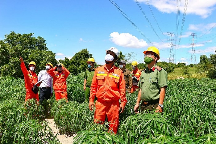 Tập đoàn Điện lực Việt Nam đã đảm bảo cung cấp điện an toàn, ổn định trong dịp lễ Quốc khánh  2/9/2022