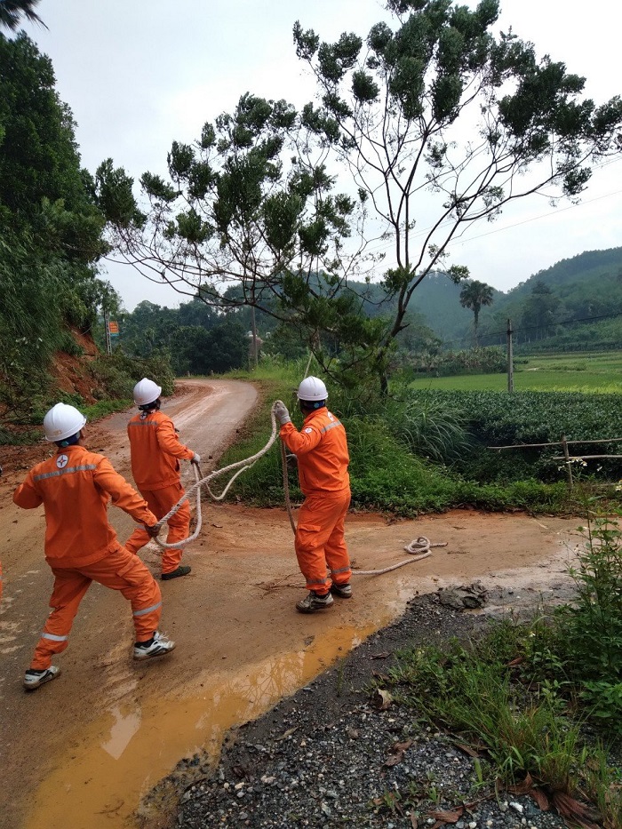 Điện lực Phú Lương tích cực trong công tác giảm thiểu vi phạm hành lang an toàn lưới điện cao áp