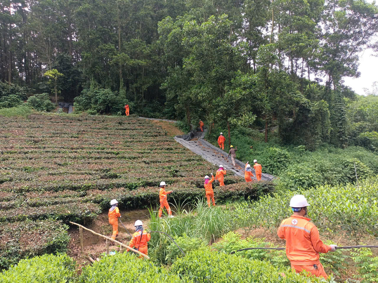 Điện lực Đồng Hỷ đảm bảo cấp điện phục vụ diễn tập quốc phòng tại địa phương