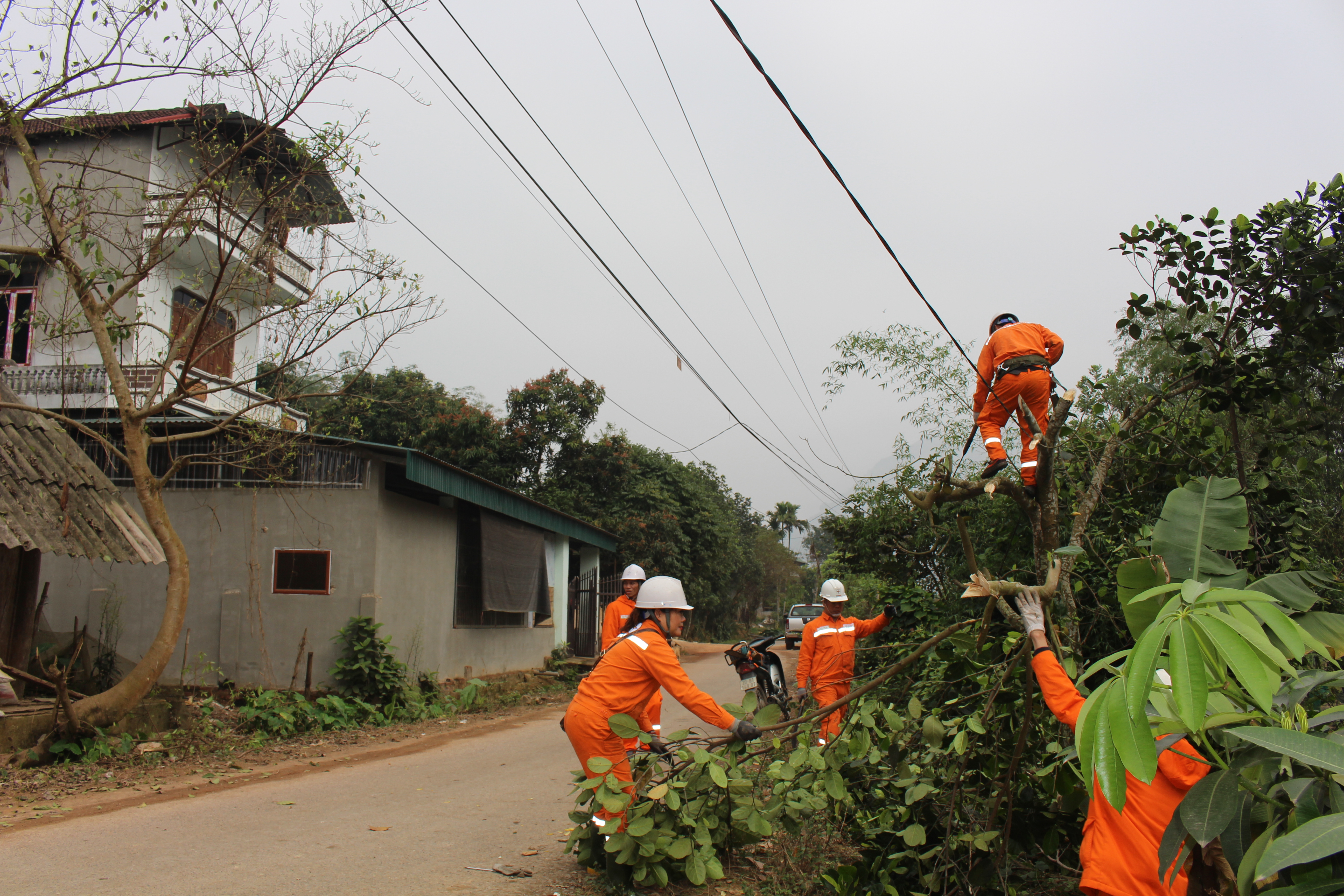 PC Thái Nguyên đảm bảo hành lang an toàn lưới điện mùa mưa bão