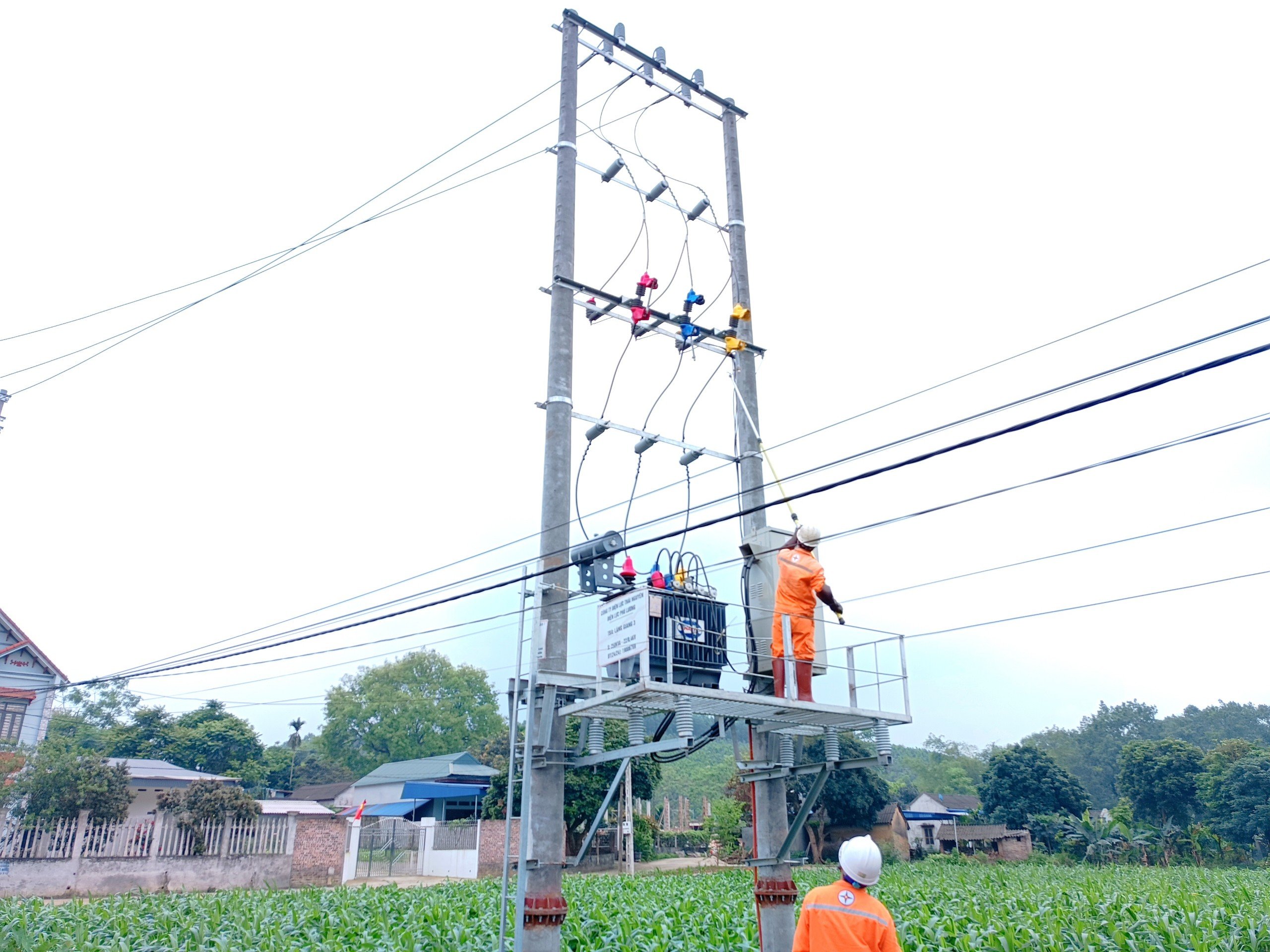 Điện lực Phú Lương: nỗ lực cải tạo, chống quá tải lưới điện trước mùa nắng nóng năm 2024